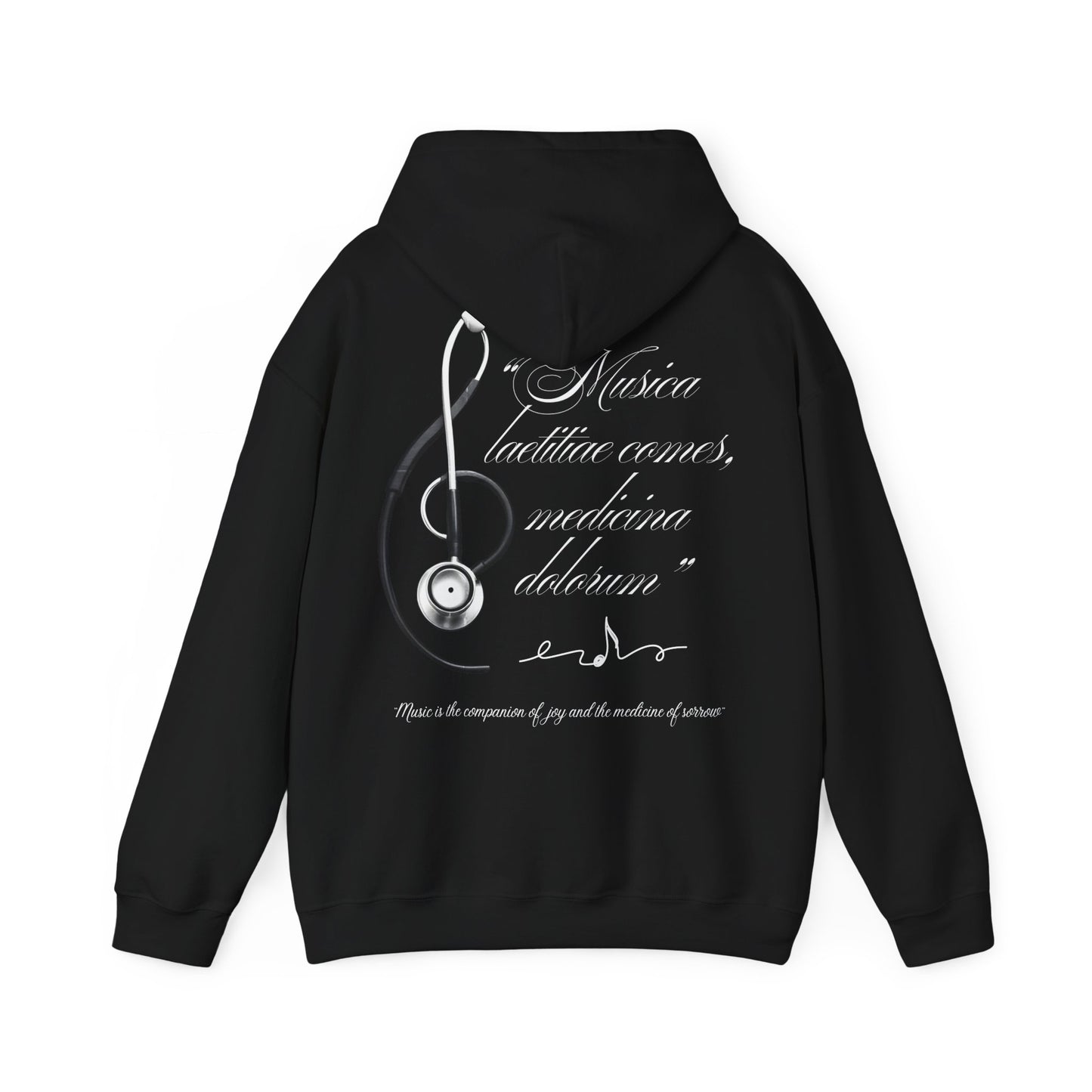 Musica laetitiae comes medicina dolorum | Puli