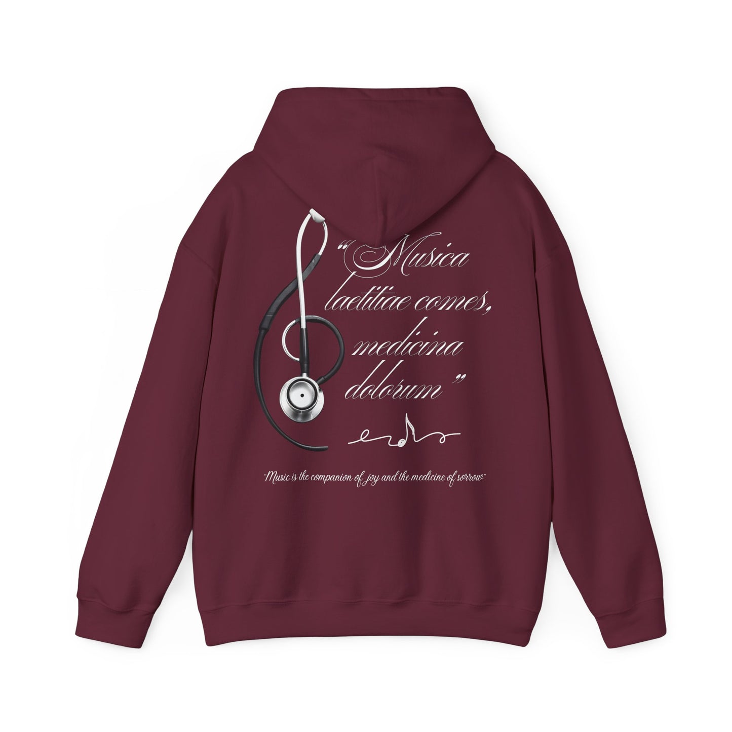 Musica laetitiae comes medicina dolorum | Puli