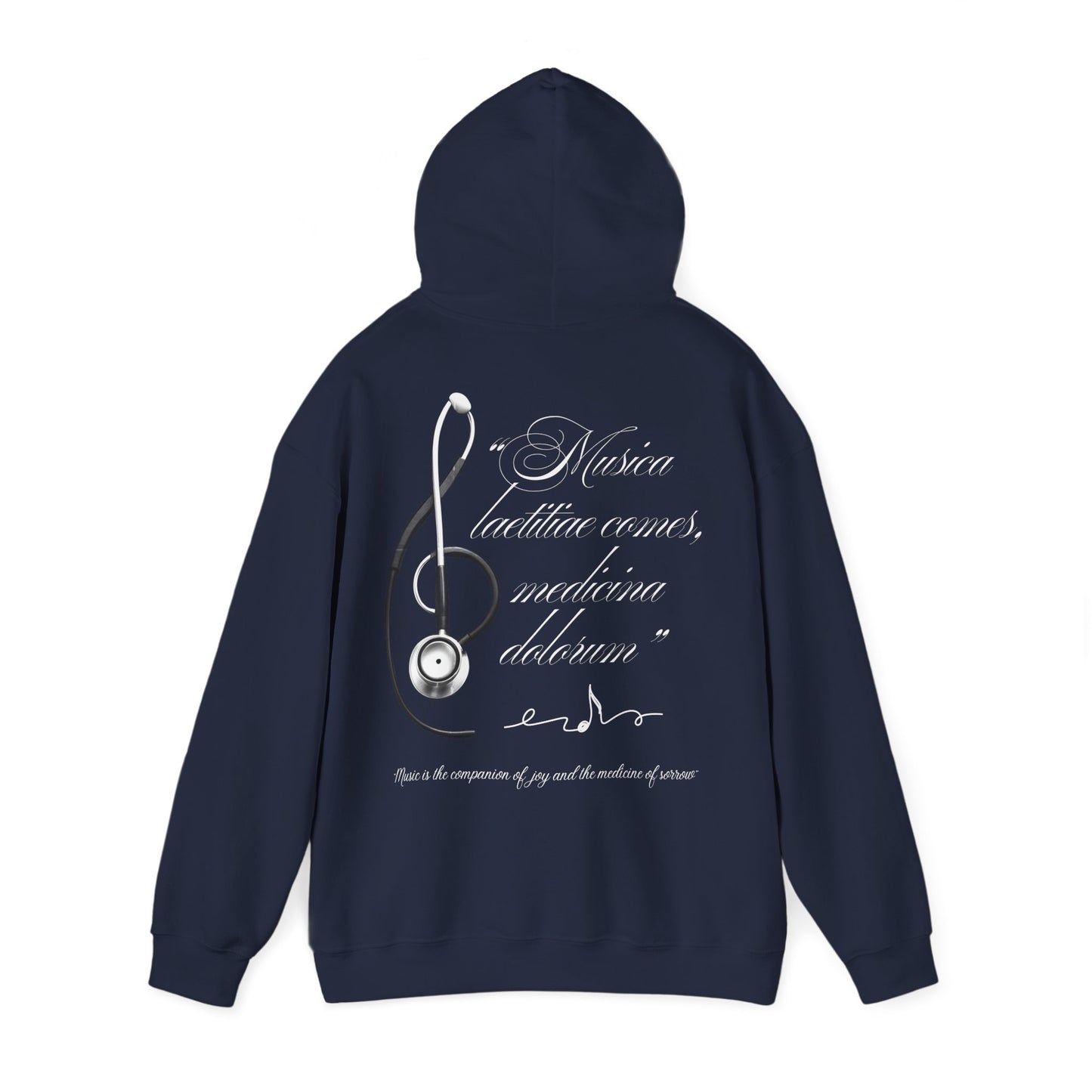 Musica laetitiae comes medicina dolorum | Puli