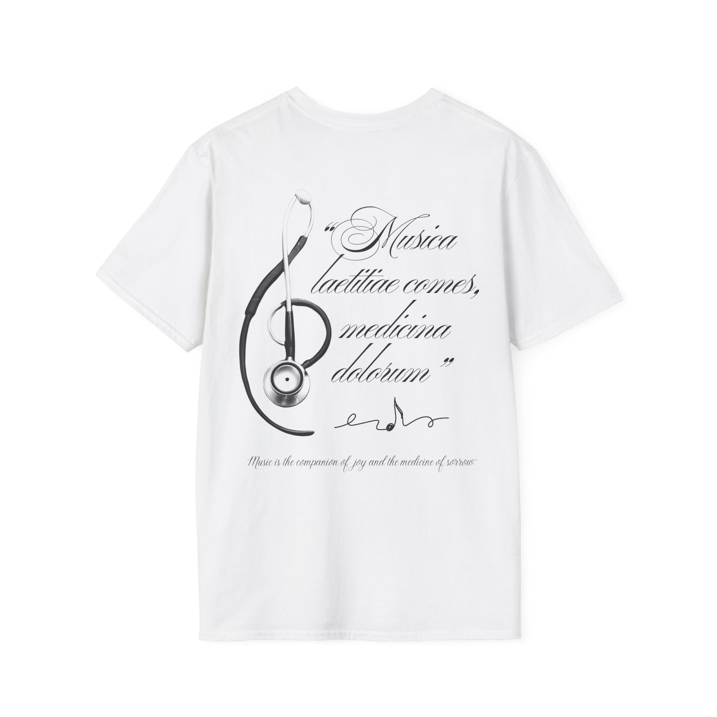 Musica laetitiae comes medicina dolorum