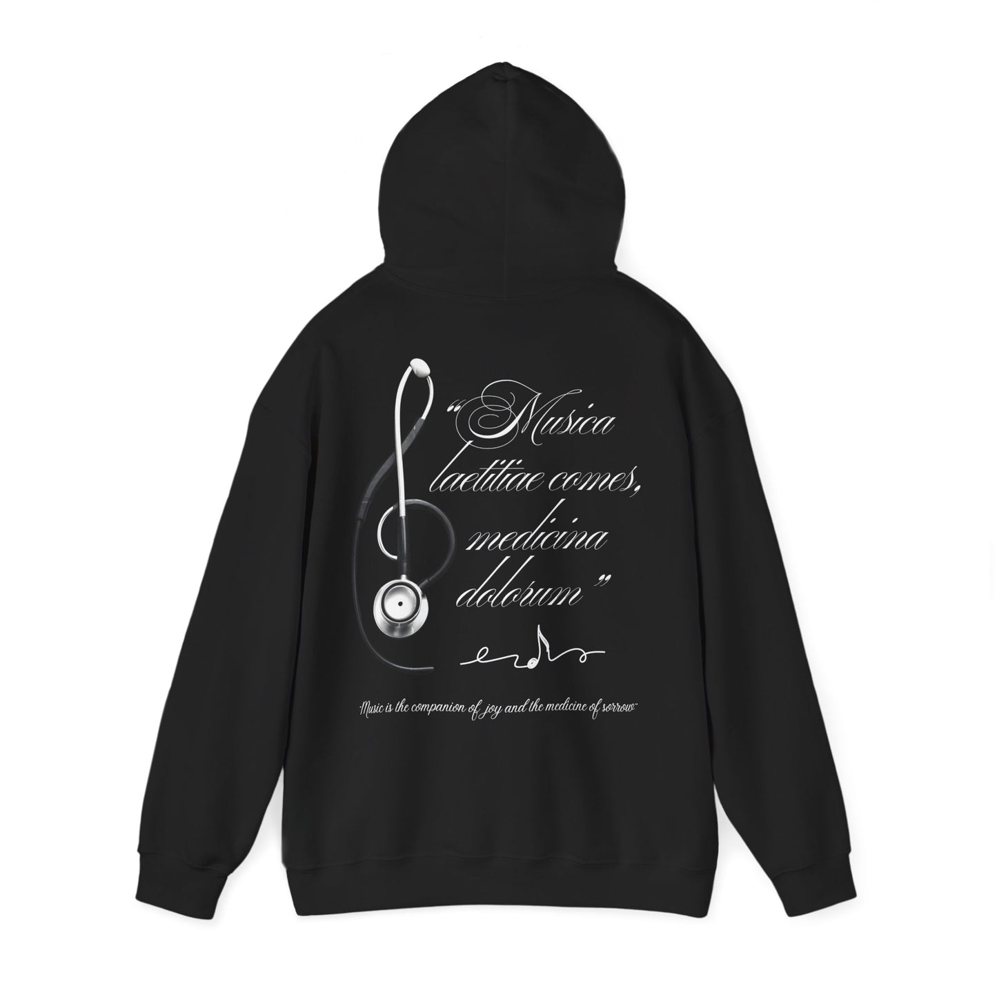 Musica laetitiae comes medicina dolorum | Puli