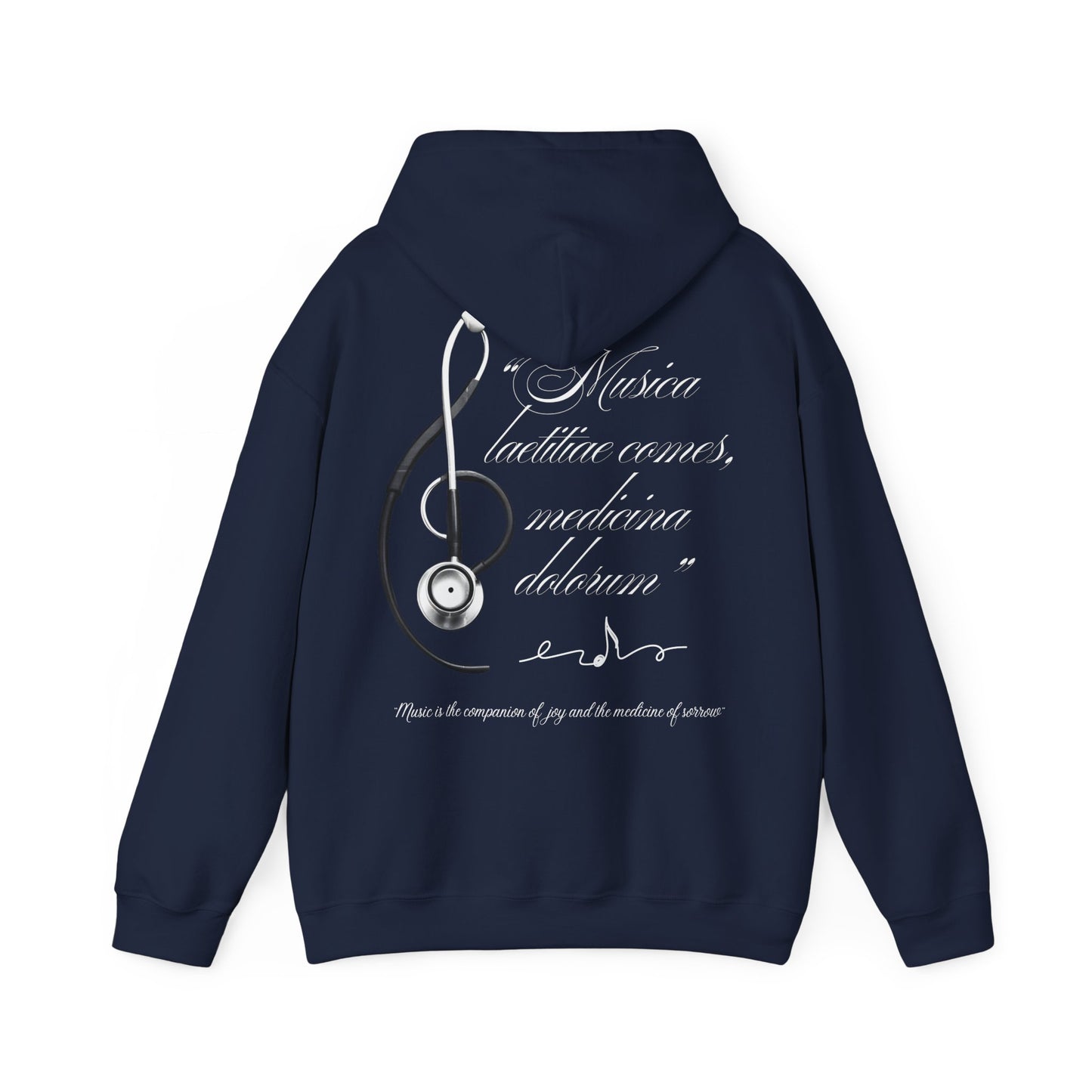 Musica laetitiae comes medicina dolorum | Puli