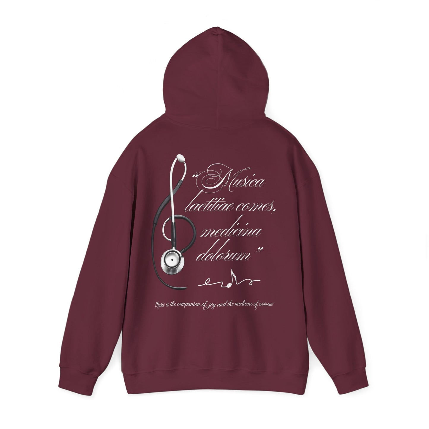 Musica laetitiae comes medicina dolorum | Puli