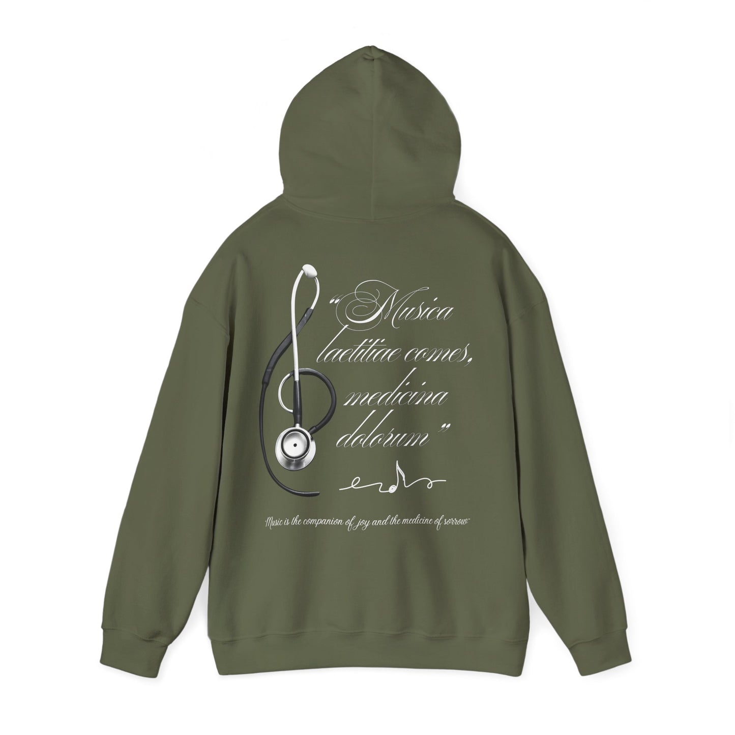 Musica laetitiae comes medicina dolorum | Puli