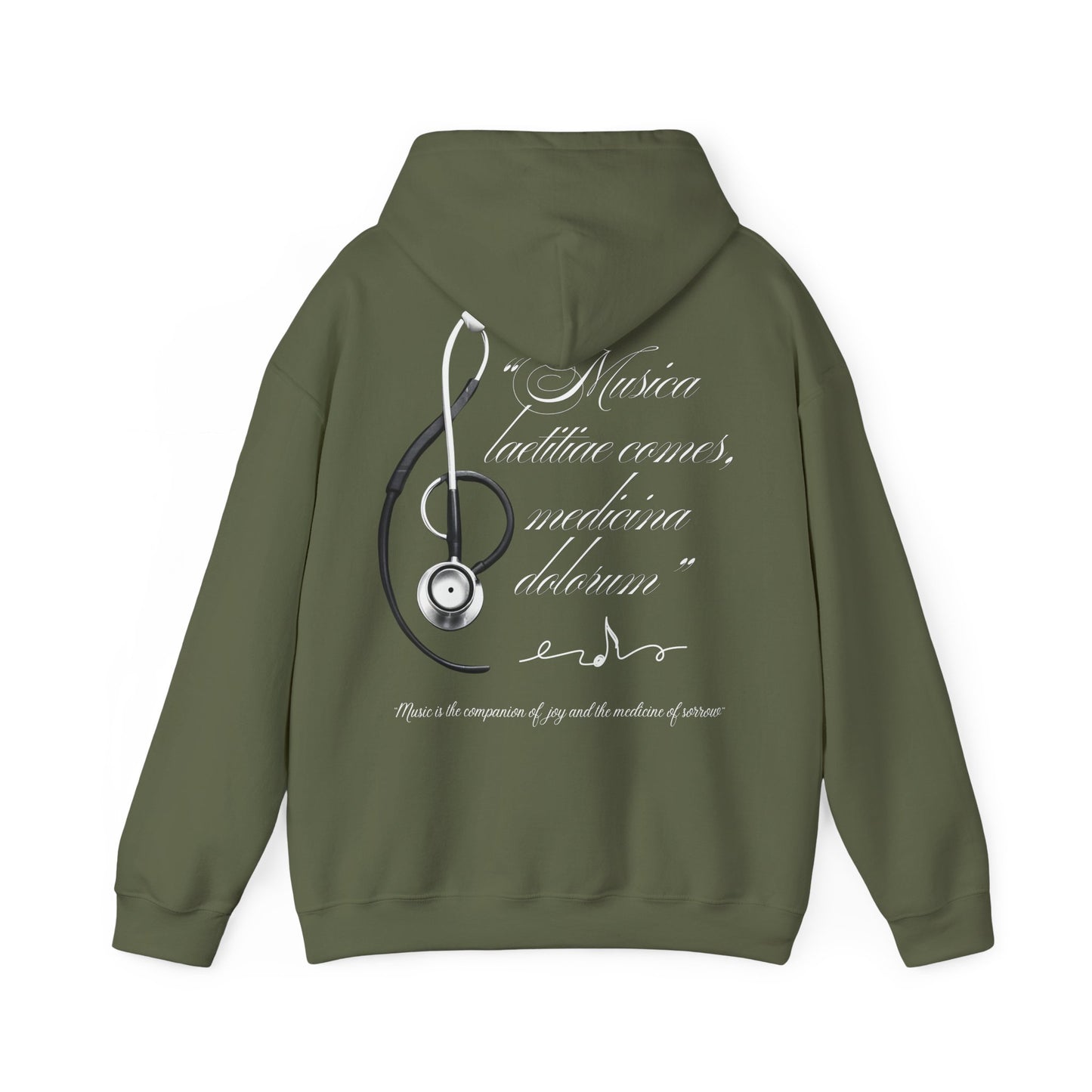 Musica laetitiae comes medicina dolorum | Puli