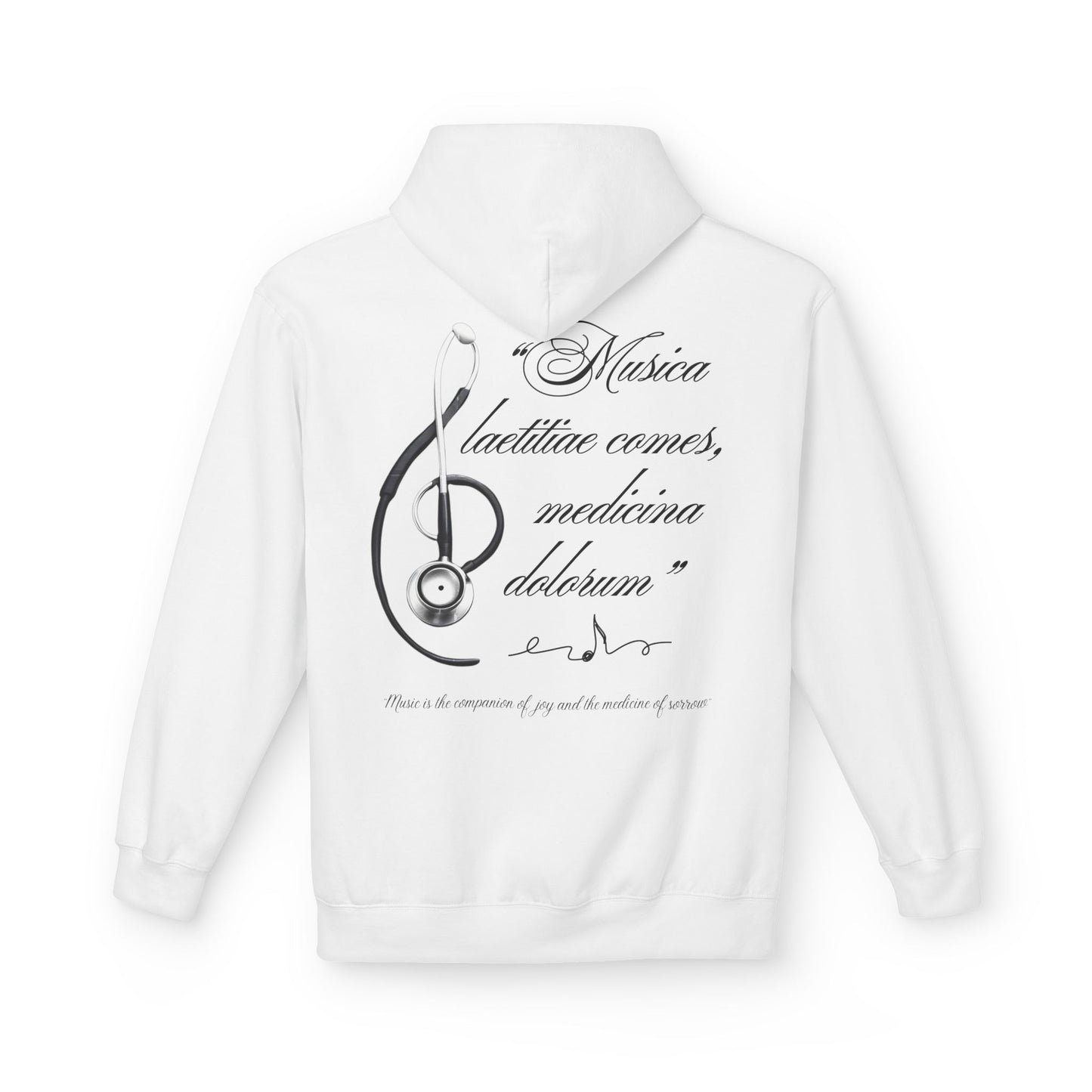 Musica laetitiae comes medicina dolorum | Pulli
