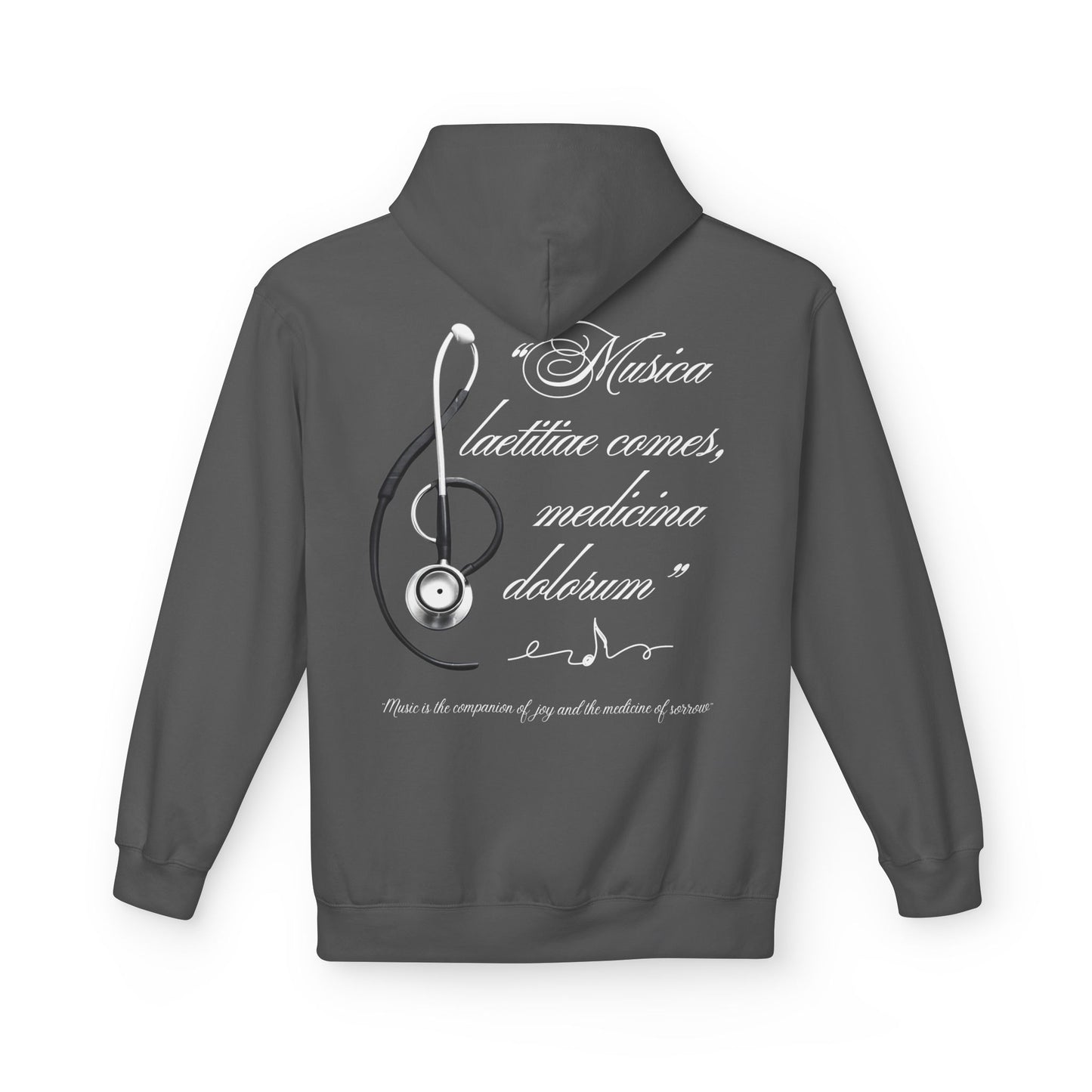 Musica laetitiae comes medicina dolorum | Pulli