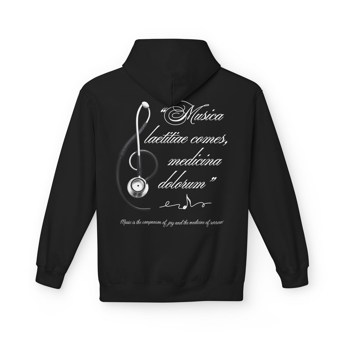 Musica laetitiae comes medicina dolorum | Pulli